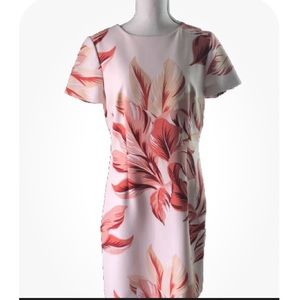 NWT Alex Marie Short Sleeve Floral Knee Length Dress. Size 8. Orig $179